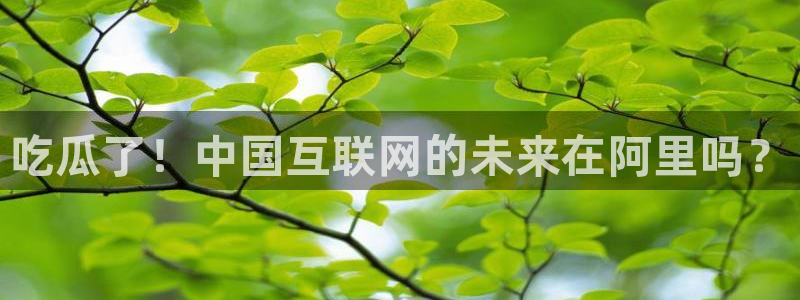 长生武道:从九龙夺嫡开始吃瓜：吃瓜了！中国互联网的未来在阿里吗？
