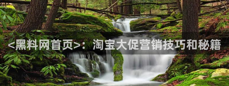 黑料,：<黑料网首页>：淘宝大促营销技巧和秘籍