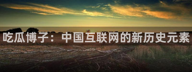 51吃瓜网今日必吃每日大瓜：吃瓜博子：中国互联网的新历史元素
