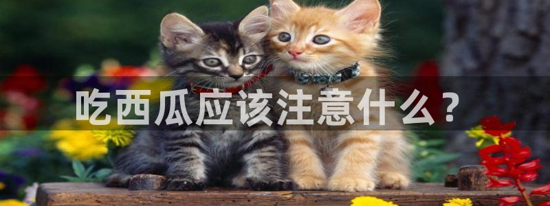 吃瓜喉咙痒怎么办
