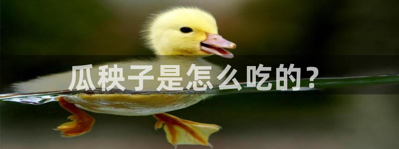 51吃瓜网小鹿酱：瓜秧子是怎么吃的？