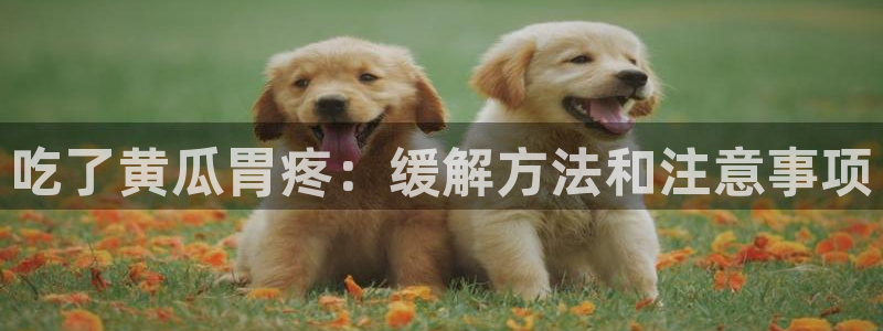 51热门大瓜今日吃瓜