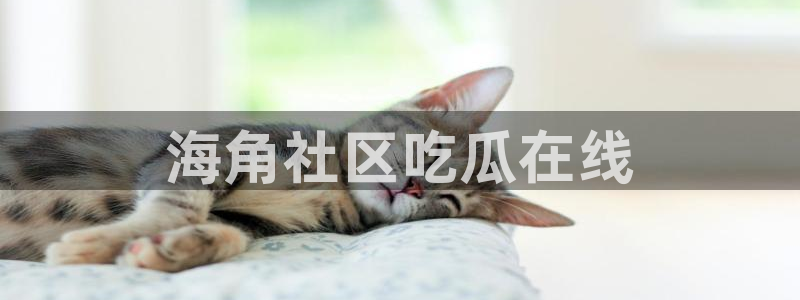 ccgg.ct今日吃瓜：海角社区吃瓜在线